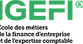 Logo de l'école IGEFI