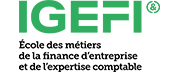 IGEFI