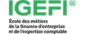 Logo de l'école IGEFI