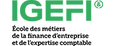 Logo de l'école IGEFI