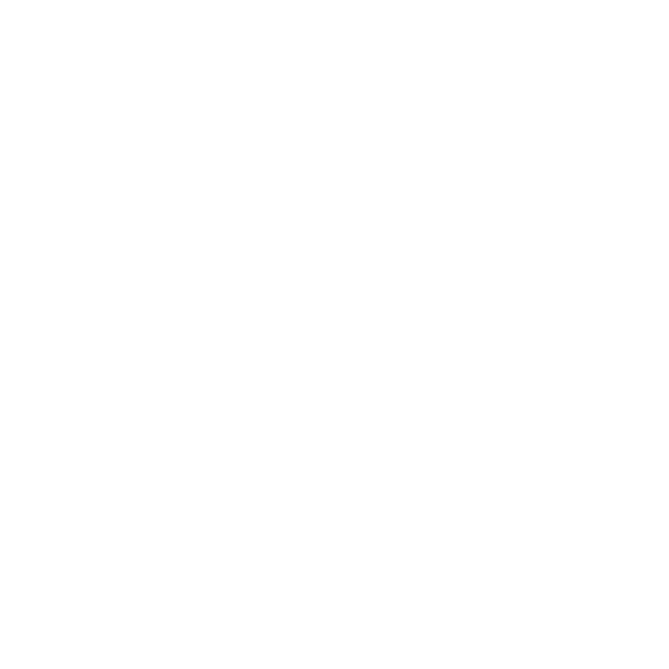 Ecole IGEFI